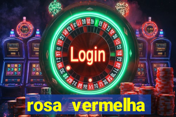 rosa vermelha (letra e cifra)